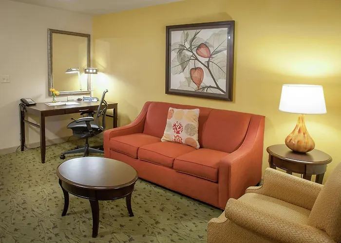 Hotel Hilton Garden Airport/medical Center