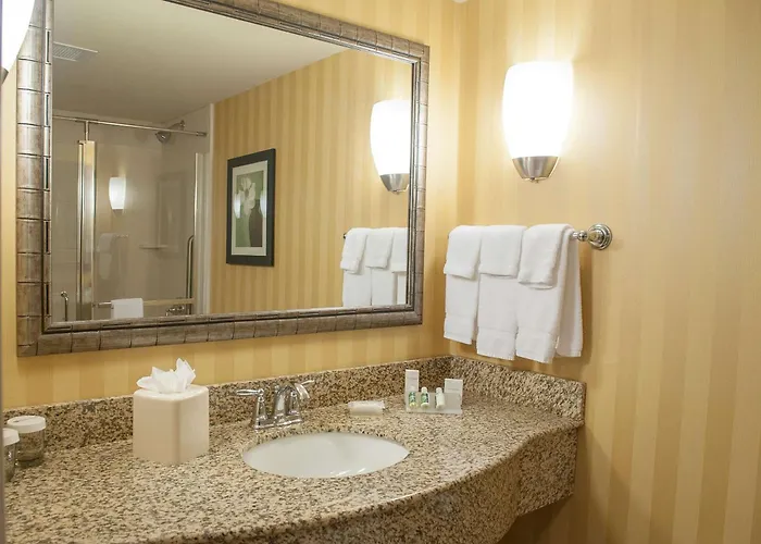 Hilton Garden Airport/medical Center Hotel