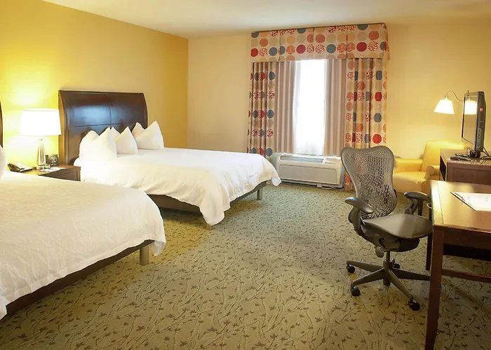 Hotel Hilton Garden Airport/medical Center 3*