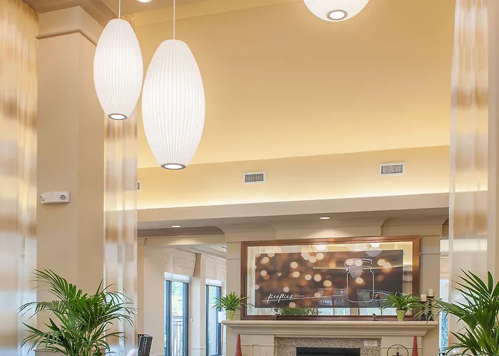 Hotel Hilton Garden Airport/medical Center 3*
