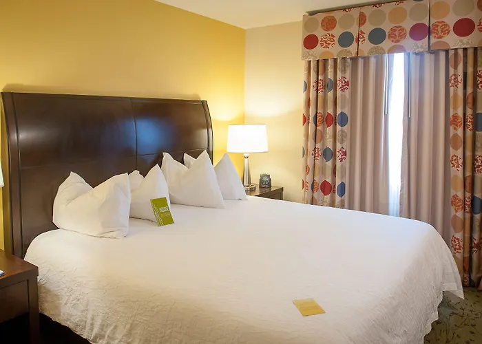 Hilton Garden Airport/medical Center 3*