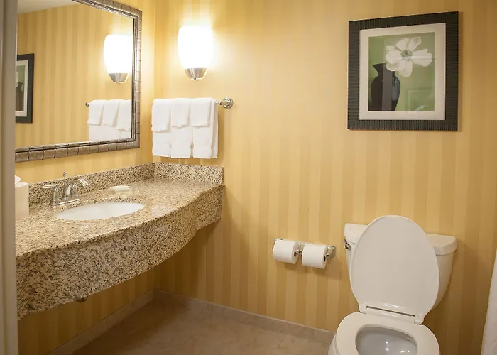 Hilton Garden Airport/medical Center 3*