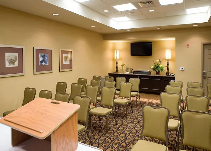 Hotel Hilton Garden Airport/medical Center